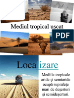 Mediul Tropical Uscat