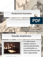 Anatomia Humana Introdução