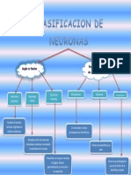 Clasificacion de Neuronas