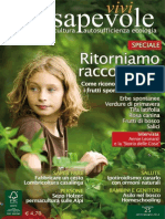 Vivi Consapevole 2011 25