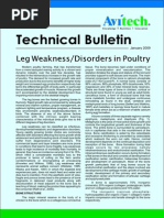 Leg Weakness Disorders in Poultry