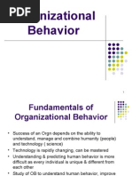 Organizational Behavior 1