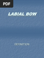 Labial Bow