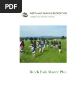 Beech Park Master Plan 2008