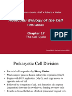 Cell Cycle