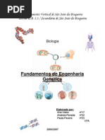 Fundamentos de Engenharia Genetica