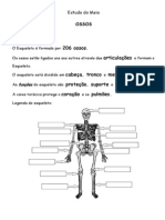 Estudo Do Meio