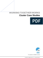 Working Together Works: Cluster Case Studies