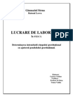 Lucrare Lab Pendulul Gravitational