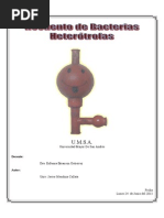 Informe Microbiologia - Laboratorio 6