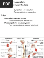 Controls Involuntary Functions - Two Types:: - Sympathetic Nervous System - Parasympathetic Nervous System