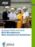 Risk Assessment Guidelines