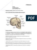 Οστά του κρανίου