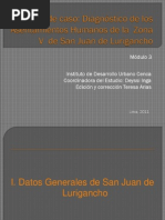 Módulo 3 - Estudio de Caso - Diagnóstico de Los Asentamientos Humanos de La Zona V de San Juan de Lurigancho