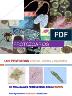 1PROTOZOOS