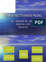 Team Effectiveness Model