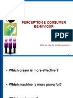 Perception Consumer Behaviour