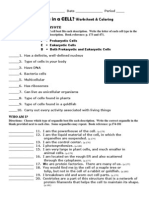 What's in A Cell - Worksheet & Coloring