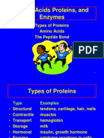 Amino Acids