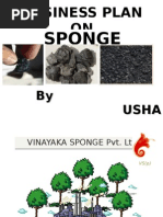 Sponge: Business Plan ON