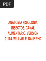 Anatomía Fisiología Insectos. Canal Alimentario. Versión 01.i04. William E. Dale Phd.