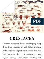 Tugas Prentasi Avertebrata Crustacea