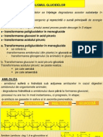 Biochimie-Curs 13 Metabolism