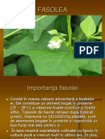 Fasolea