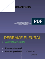 Derrame Pleural