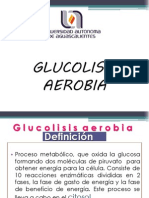 Glucolisis Aerobia