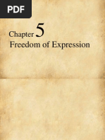 Freedom of Expression