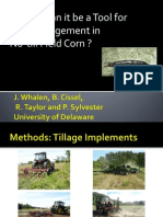 Tillage and Slug Management in No Till Corn Whalen