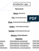 Genero Enterobacter MicroI