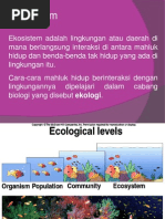 Materi Ekologi Ipa SD Kamis