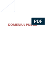 Domeniul Public