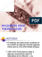 Mycobacterium T