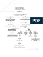 Pathways Efusi Pleura