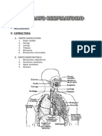 7 Aparato Respiratorio