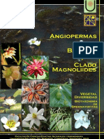 Angiospermas Magnoliides PDF