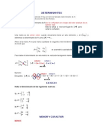 DETERMINANTES