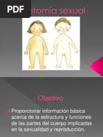 Anatomia Sexual - Presentacion