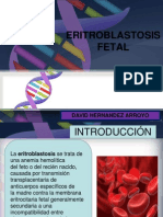 Eritroblastosis Fetal