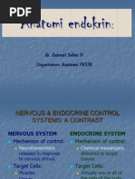 DR Zainuri Kuliahanatomi Endocrine