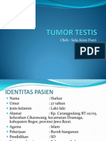 Tumor Testis