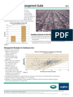 NK Syngenta