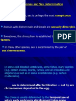 Sex Chromosomes and Sex Determination: in Animal Kingdom, Sex Is Perhaps The Most