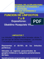 Exposicion de Micro II de Funcion de Linfocitos T y B