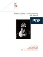 Andean Condor Care Manual PDF