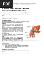 Anexo Aparato Genital AnatomIa FisiologIa y PatologIas