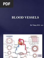 Blood Vessel Pathology 